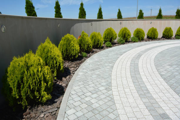 Best Driveway Paving Contractor  in Myrtle Point, OR